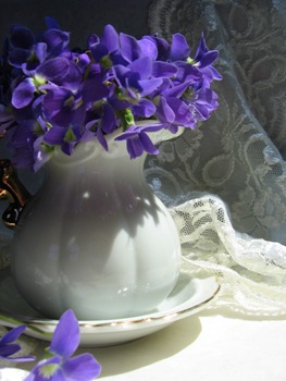 This photo of Violets and Lace - an "Antique Lace Vignette" - was taken by photographer Karen Barefoot from Hollidaysburg, PA.